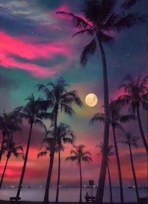 Diamond Painting - Palms