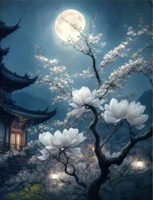 Diamond Painting - Silver Moon